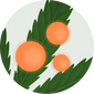 Broad Spectrum Nano Hemp