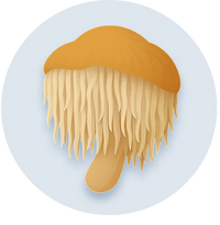 M2 Lions Mane