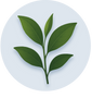 Suntheanine® (L-Theanine)